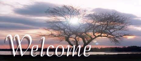 Welcome to Mtek Software Solutions